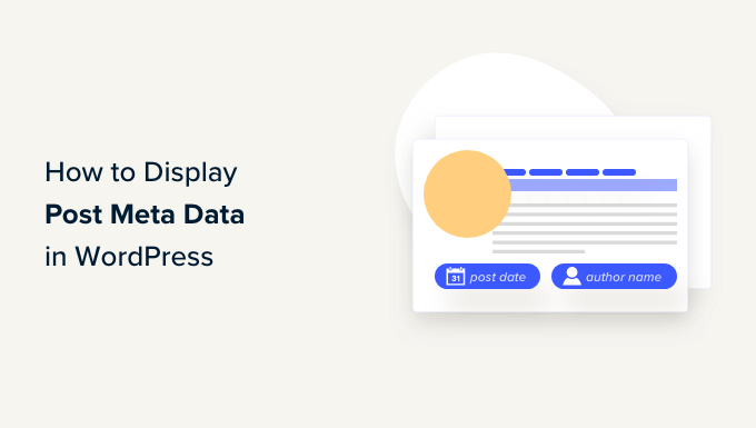 How to Display Post Meta Data in Wordpress Themes
