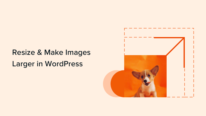 How to Resize And Make Images Larger Without Losing Quality