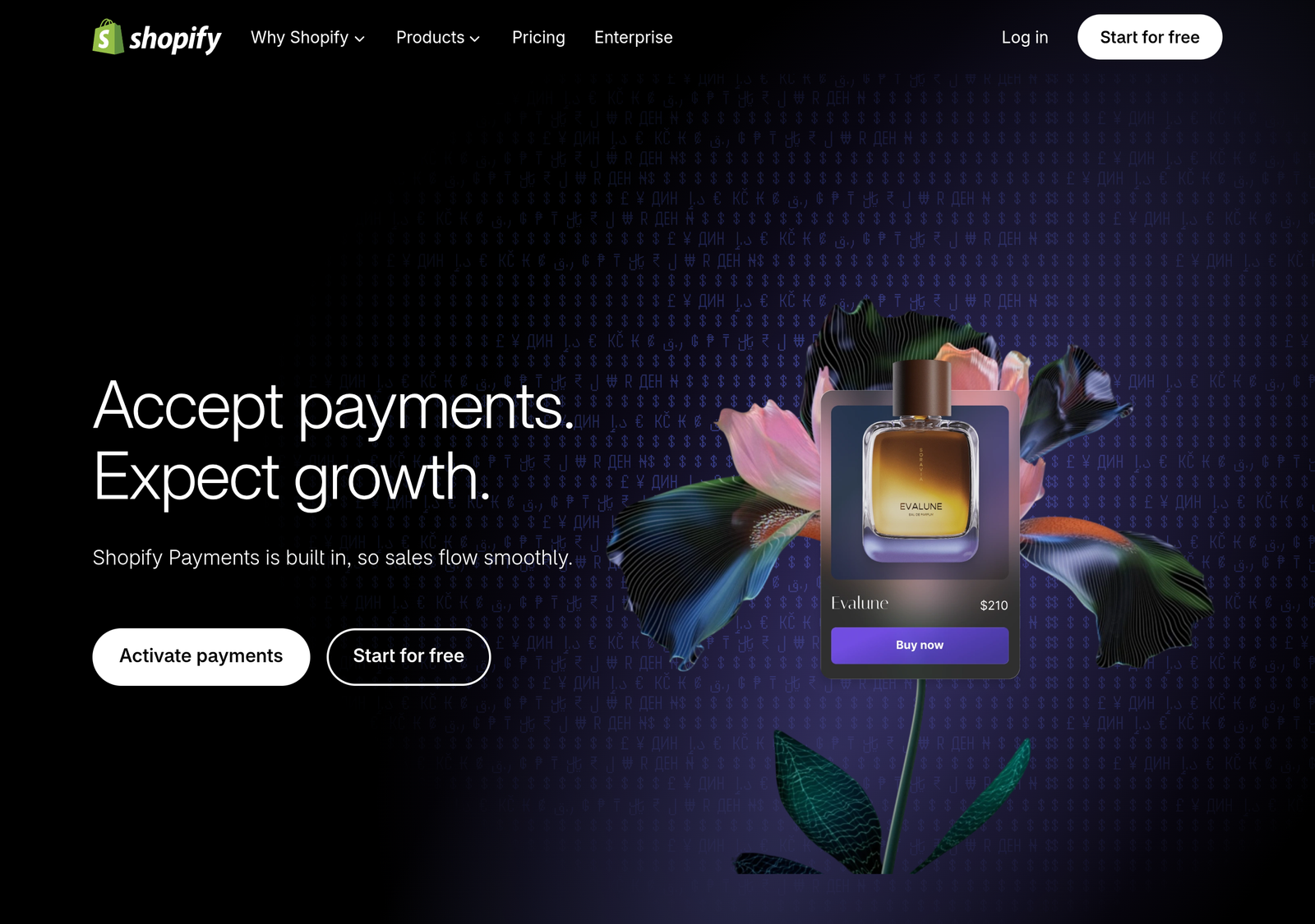 Shopify Payments page